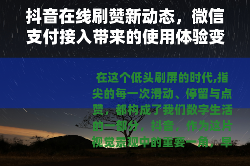 抖音在线刷赞新动态，微信支付接入带来的使用体验变化