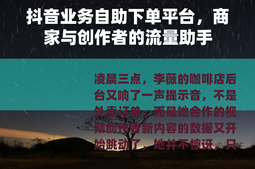 抖音业务自助下单平台，商家与创作者的流量助手