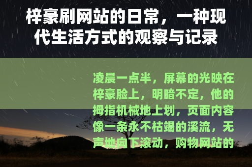 梓豪刷网站的日常，一种现代生活方式的观察与记录