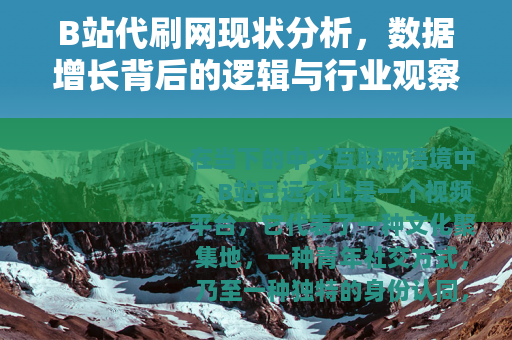 B站代刷网现状分析，数据增长背后的逻辑与行业观察