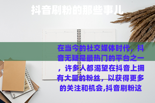 抖音刷粉的那些事儿