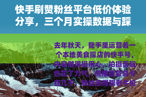 快手刷赞粉丝平台低价体验分享，三个月实操数据与踩坑记录