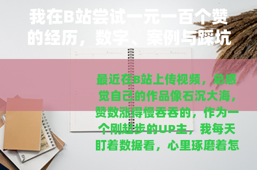 我在B站尝试一元一百个赞的经历，数字、案例与踩坑分享