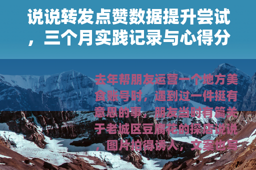 说说转发点赞数据提升尝试，三个月实践记录与心得分享