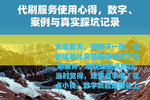 代刷服务使用心得，数字、案例与真实踩坑记录