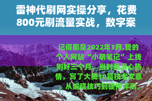 雷神代刷网实操分享，花费800元刷流量实战，数字案例踩坑全记录