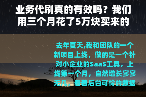 业务代刷真的有效吗？我们用三个月花了5万块买来的教训