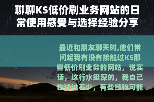 聊聊KS低价刷业务网站的日常使用感受与选择经验分享