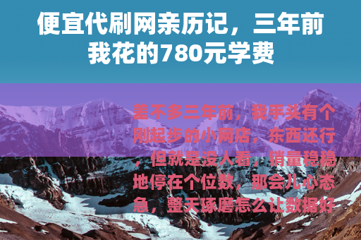 便宜代刷网亲历记，三年前我花的780元学费