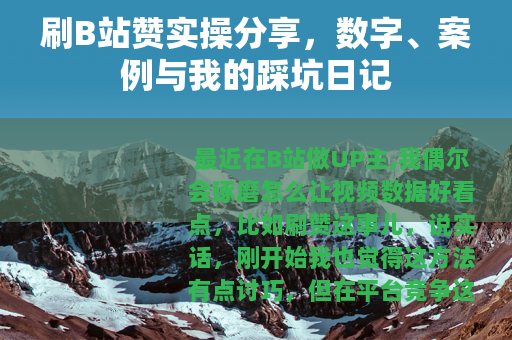 刷B站赞实操分享，数字、案例与我的踩坑日记