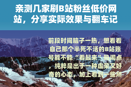亲测几家刷B站粉丝低价网站，分享实际效果与翻车记录