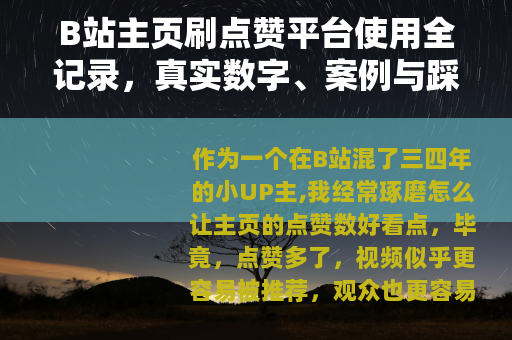 B站主页刷点赞平台使用全记录，真实数字、案例与踩坑心得