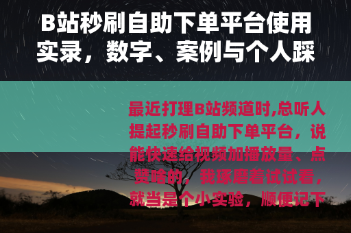 B站秒刷自助下单平台使用实录，数字、案例与个人踩坑分享