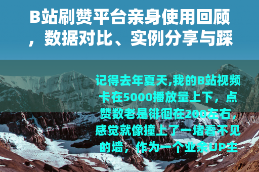 B站刷赞平台亲身使用回顾，数据对比、实例分享与踩坑教训总结
