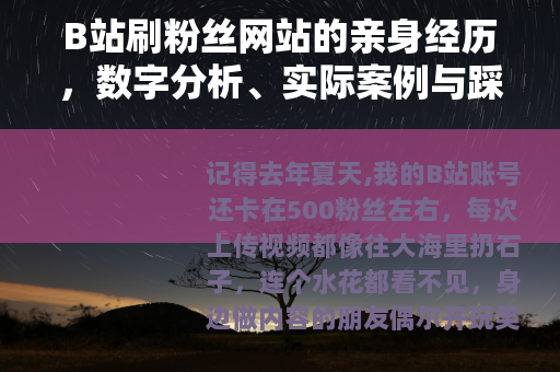 B站刷粉丝网站的亲身经历，数字分析、实际案例与踩坑分享