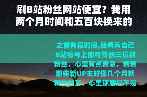 刷B站粉丝网站便宜？我用两个月时间和五百块换来的教训