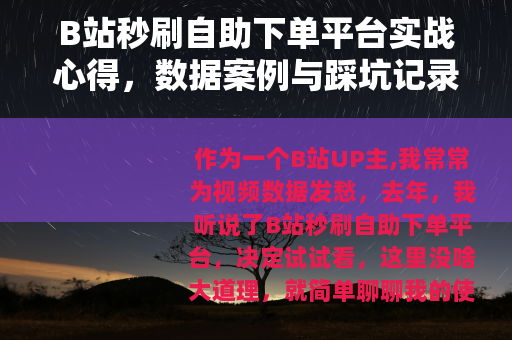 B站秒刷自助下单平台实战心得，数据案例与踩坑记录分享