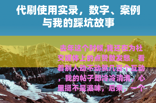 代刷使用实录，数字、案例与我的踩坑故事