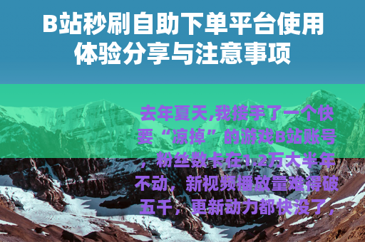 B站秒刷自助下单平台使用体验分享与注意事项