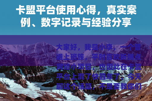 卡盟平台使用心得，真实案例、数字记录与经验分享