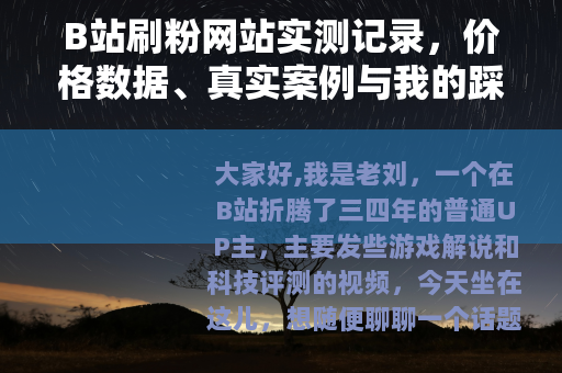 B站刷粉网站实测记录，价格数据、真实案例与我的踩坑教训