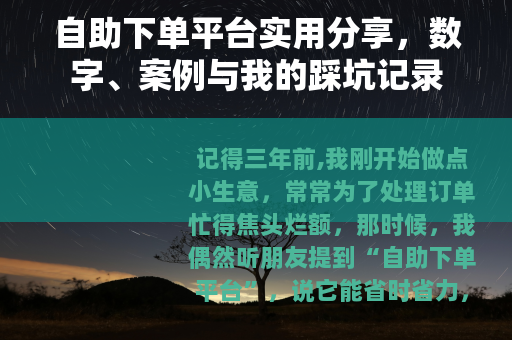自助下单平台实用分享，数字、案例与我的踩坑记录