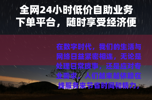 全网24小时低价自助业务下单平台，随时享受经济便捷的在线服务