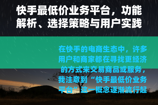 快手最低价业务平台，功能解析、选择策略与用户实践全指南
