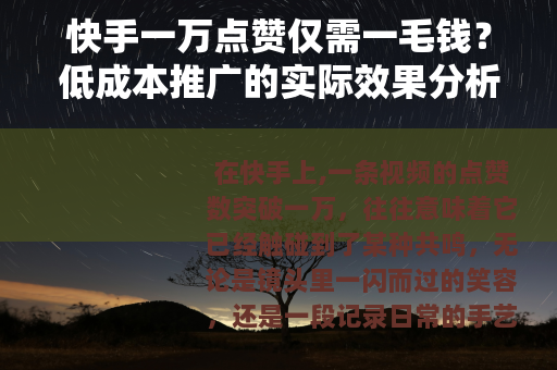 快手一万点赞仅需一毛钱？低成本推广的实际效果分析