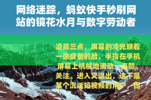 网络迷踪，蚂蚁快手秒刷网站的镜花水月与数字劳动者侧影