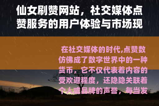 仙女刷赞网站，社交媒体点赞服务的用户体验与市场现象分析