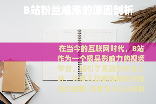 B站粉丝难涨的原因剖析