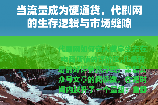 当流量成为硬通货，代刷网的生存逻辑与市场缝隙