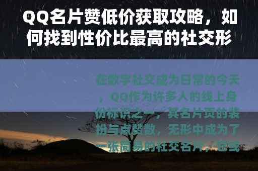 QQ名片赞低价获取攻略，如何找到性价比最高的社交形象服务