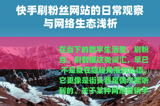 快手刷粉丝网站的日常观察与网络生态浅析