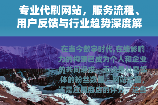专业代刷网站，服务流程、用户反馈与行业趋势深度解读