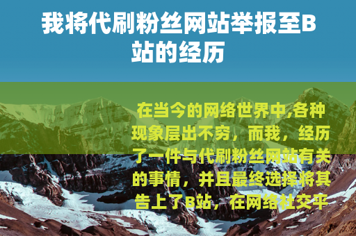 我将代刷粉丝网站举报至B站的经历