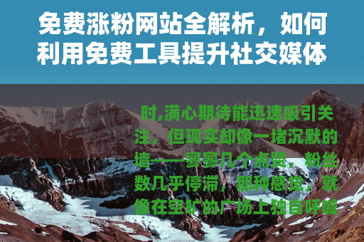 免费涨粉网站全解析，如何利用免费工具提升社交媒体影响力