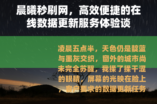 晨曦秒刷网，高效便捷的在线数据更新服务体验谈