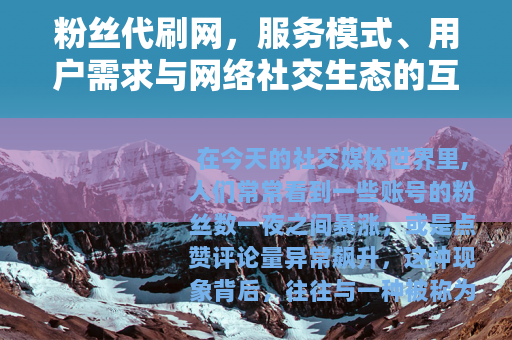 粉丝代刷网，服务模式、用户需求与网络社交生态的互动分析