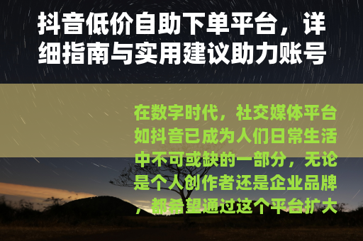 抖音低价自助下单平台，详细指南与实用建议助力账号成长