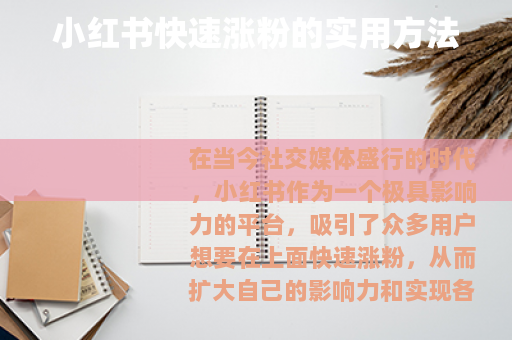 小红书快速涨粉的实用方法