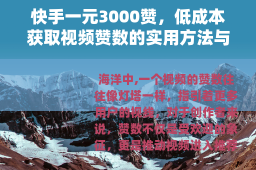 快手一元3000赞，低成本获取视频赞数的实用方法与市场分析