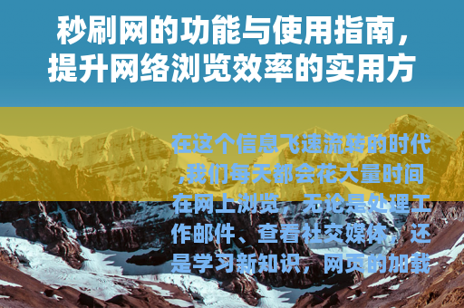 秒刷网的功能与使用指南，提升网络浏览效率的实用方法