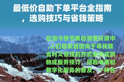 最低价自助下单平台全指南，选购技巧与省钱策略
