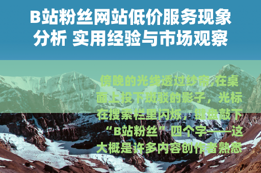 B站粉丝网站低价服务现象分析 实用经验与市场观察