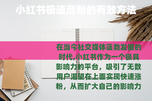 小红书极速涨粉的有效方法