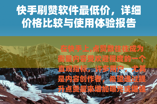 快手刷赞软件最低价，详细价格比较与使用体验报告