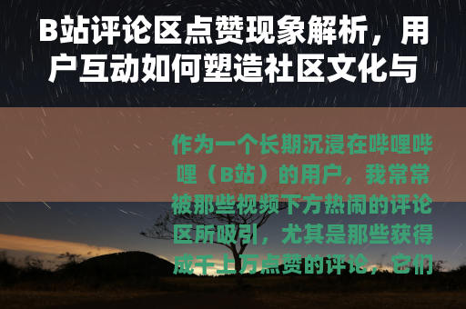 B站评论区点赞现象解析，用户互动如何塑造社区文化与内容传播