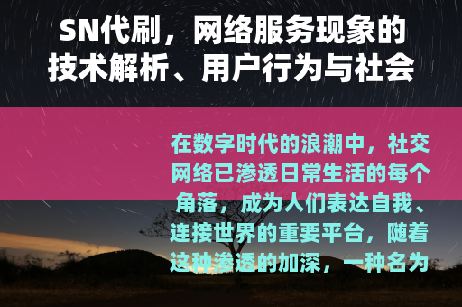 SN代刷，网络服务现象的技术解析、用户行为与社会效应深度探讨